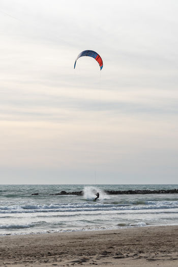 Kite on sea shore against sky