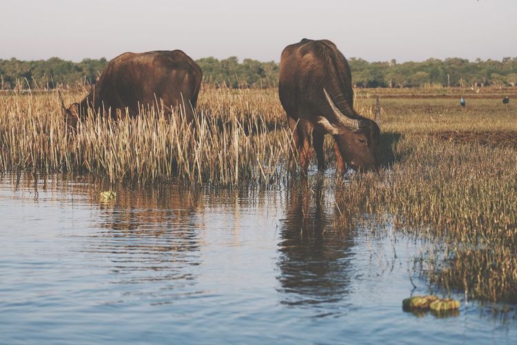 View of a drinking water