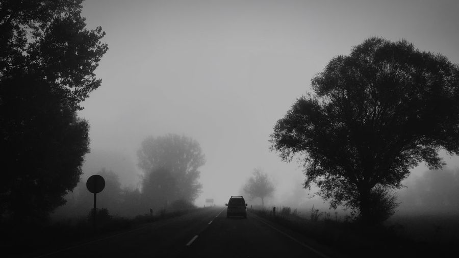 Empty country road along silhouette trees