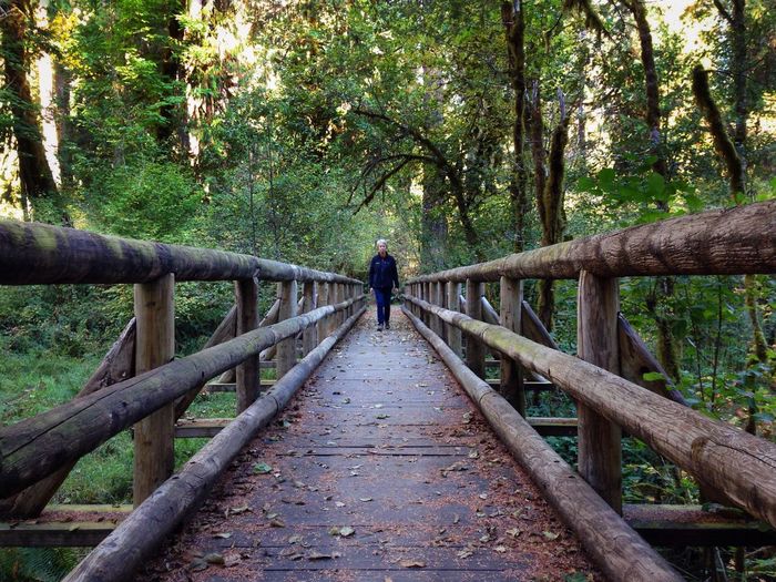 Man walking on footpath in forest