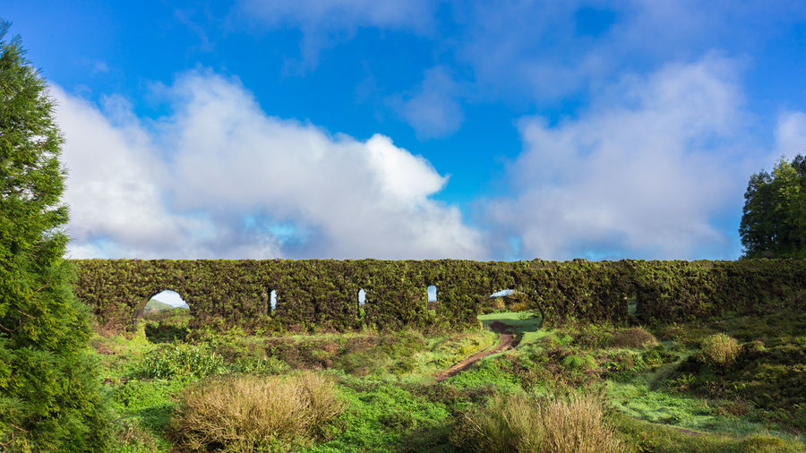 Historic coal aqueduct covered with plants and mosses in sao miguel, azores, portugal