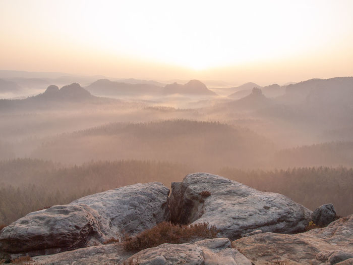 Natural landscape of fog and mist with mountain and treelines.