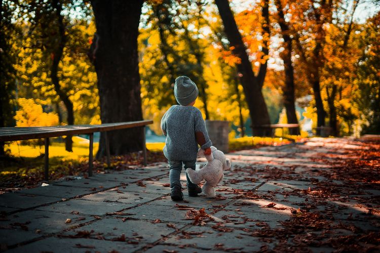 Full length rear view of boy holding toy while walking on footpath during autumn