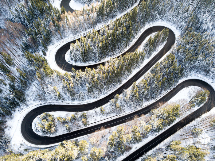 High angle view of winding road by trees