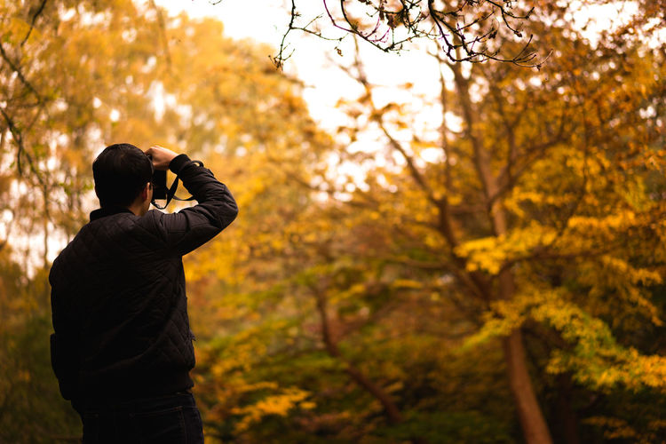 Rear view of photographer photographing autumn trees in park
