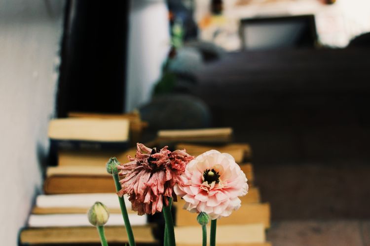 Pink flowers in front of the books