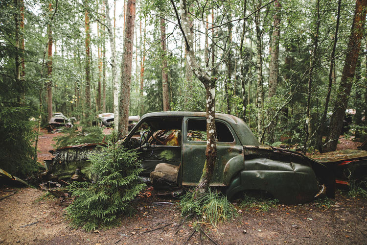 Abandoned car in forest