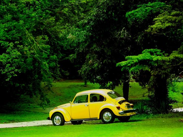 Yellow car parked on land
