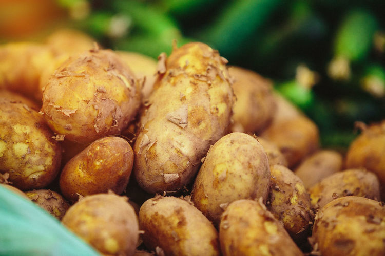 Close-up of potatoes