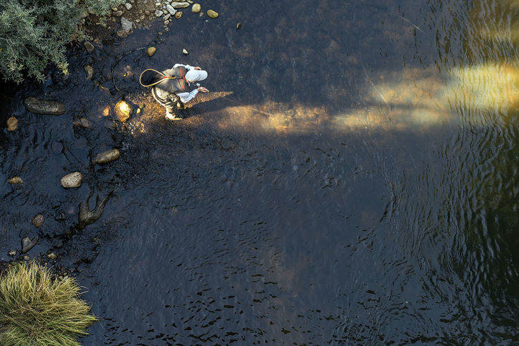 High angle view of crab on beach