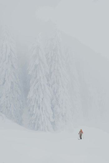 People skiing on snow covered landscape