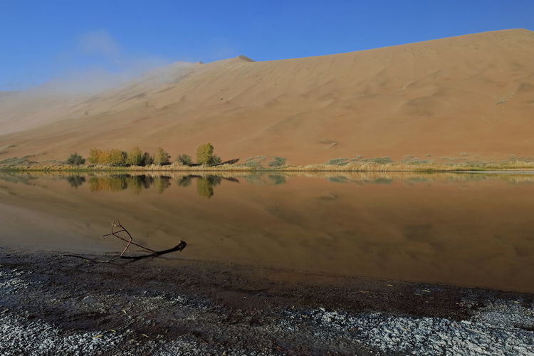 1205 sumu jaran lake's western megadune reflected on mirroring water. badain jaran desert-china.