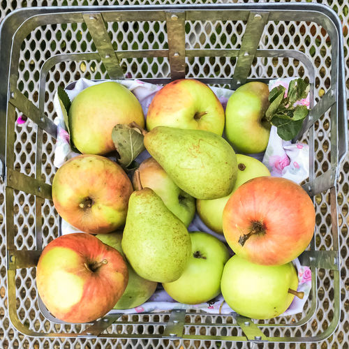 Fresh fruits in basket