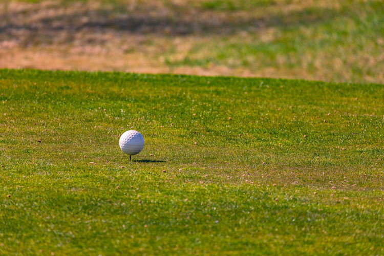 Golf ball on grassy field for teeing off