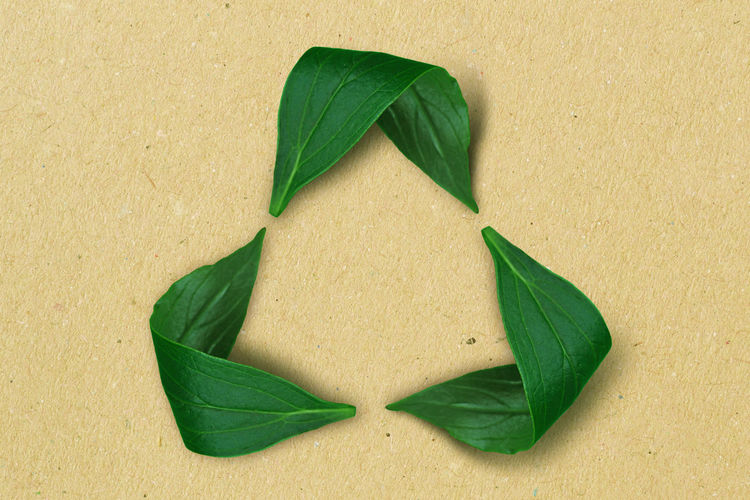 Recycling symbol made of leaves on recycled paper background - concept of ecology and recycling