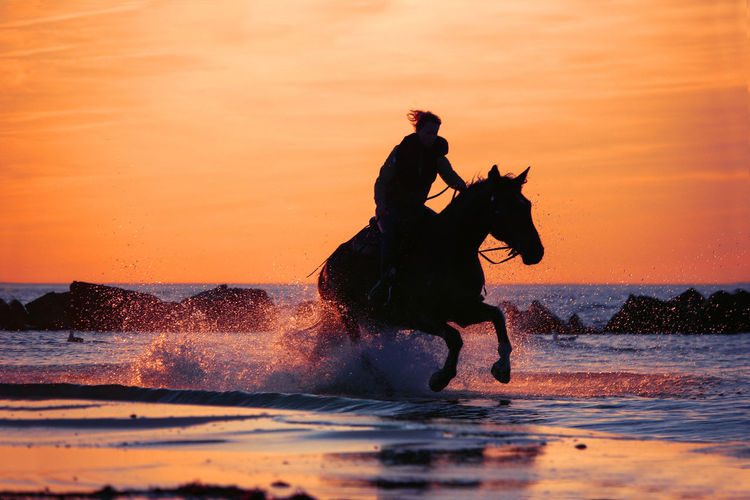 Silhouette man riding horse in sea against orange sky during sunset