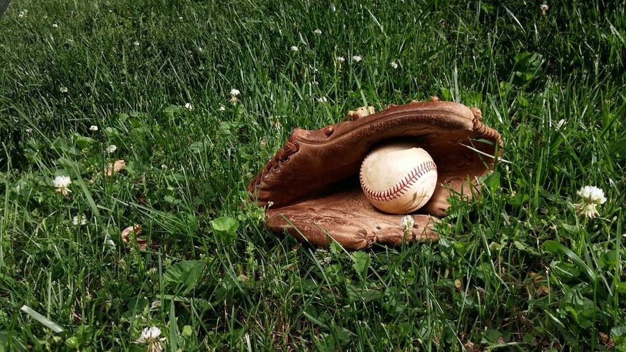 Baseball glove on grassy field