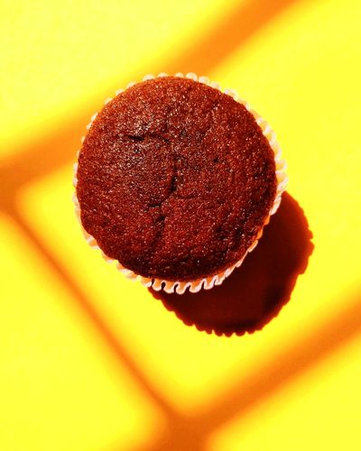 Close-up of chocolate cake