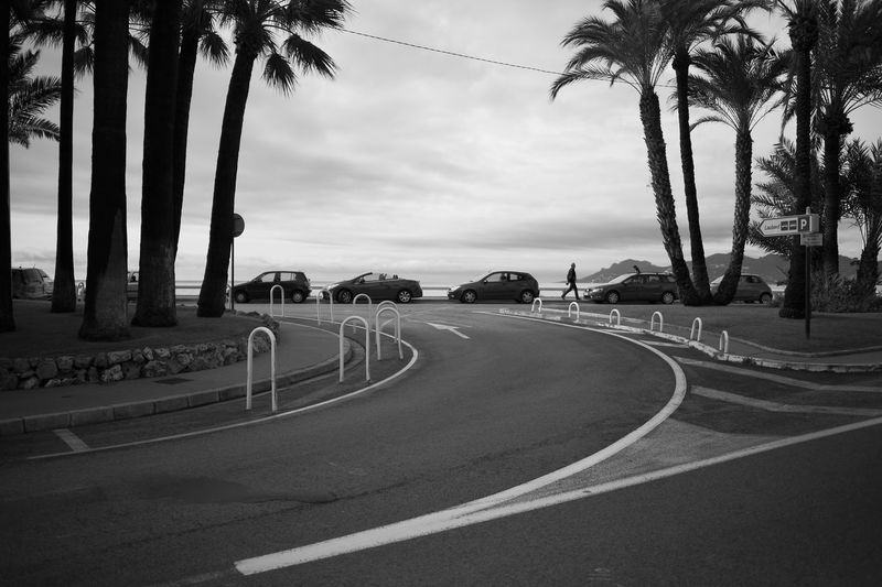 Empty road by palm trees against sky
