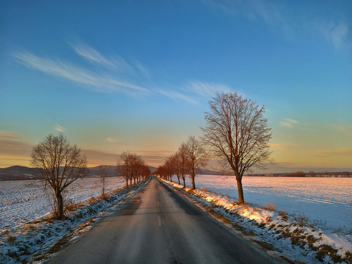Road amidst bare trees against sky during winter