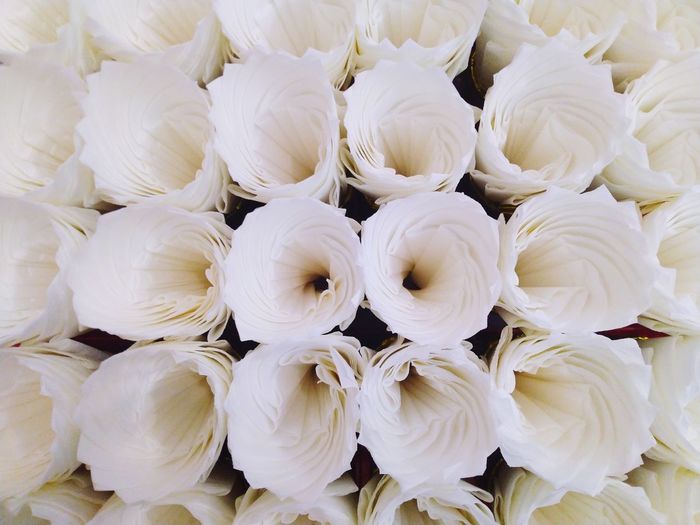 Full frame shot of white roses