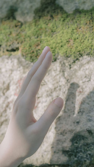 Close-up of human hand on land
