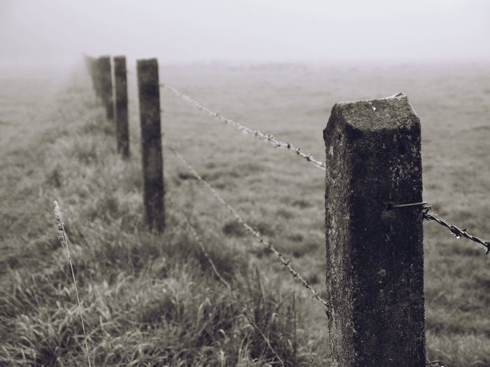 Close-up of wooden posts on field against sky