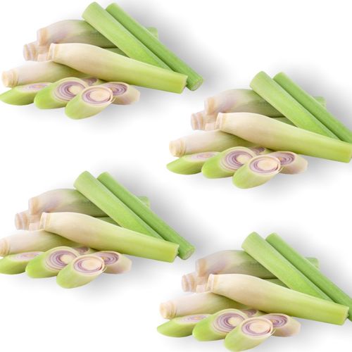vegetable