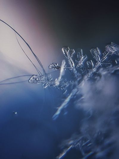 Macro shot of wet glass against sky