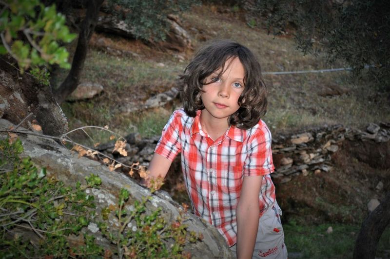 Portrait of boy standing on land in forest