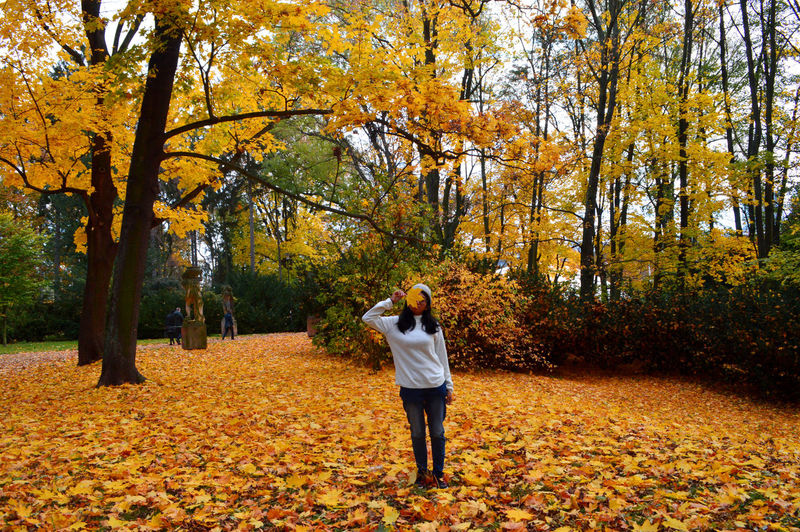 Woman covering face with autumn leaf while standing in park