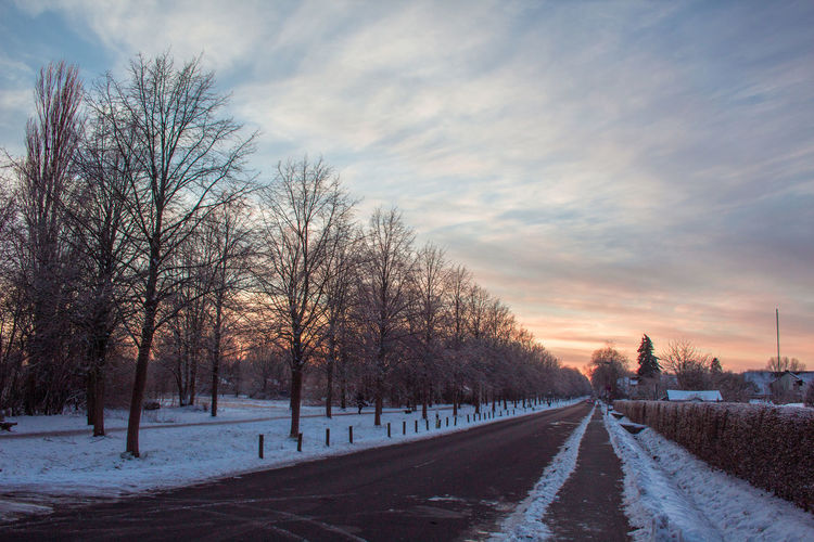 Empty road along bare trees during winter