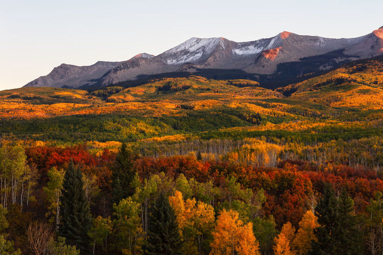 Autumn landscape at kebler pass in the west elk mountains near crested butte, colorado.