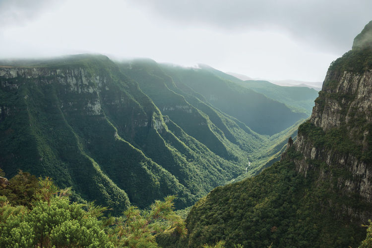 Fortaleza canyon with steep rocky cliffs covered by forest and fog near cambara do sul, brazil.