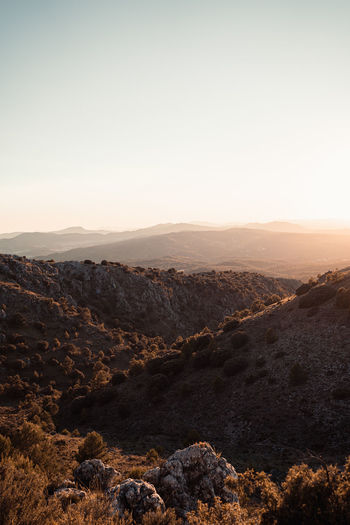 Scenic view of landscape against clear sky during sunset