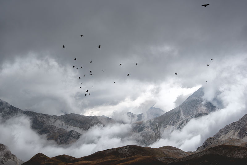 Flock of birds flying in sky, gran sasso, abruzzo, mount aquila.