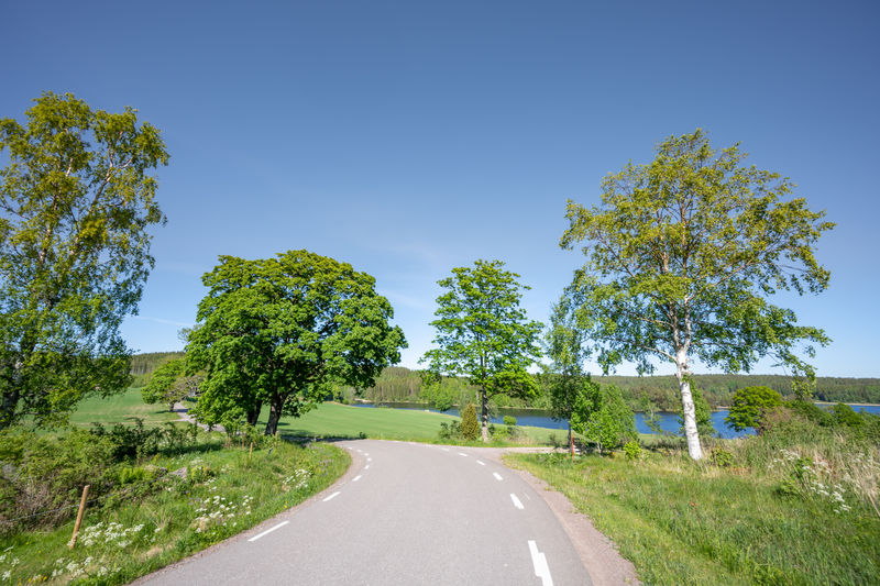 Empty road along trees and plants against sky