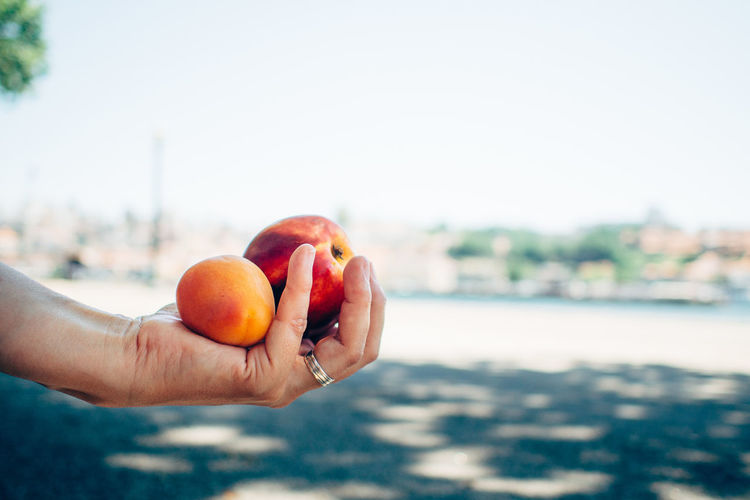 Cropped image of woman holding apricot and apple