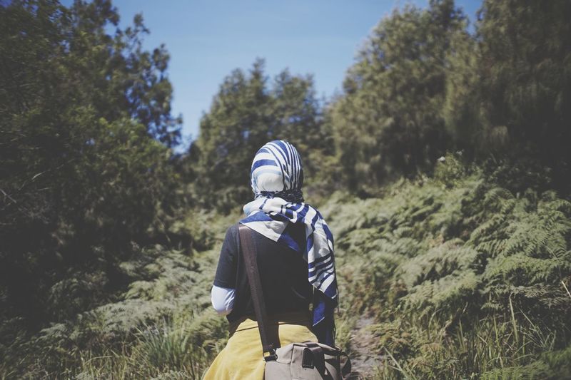 Rear view of hijabi woman standing amidst trees in forest