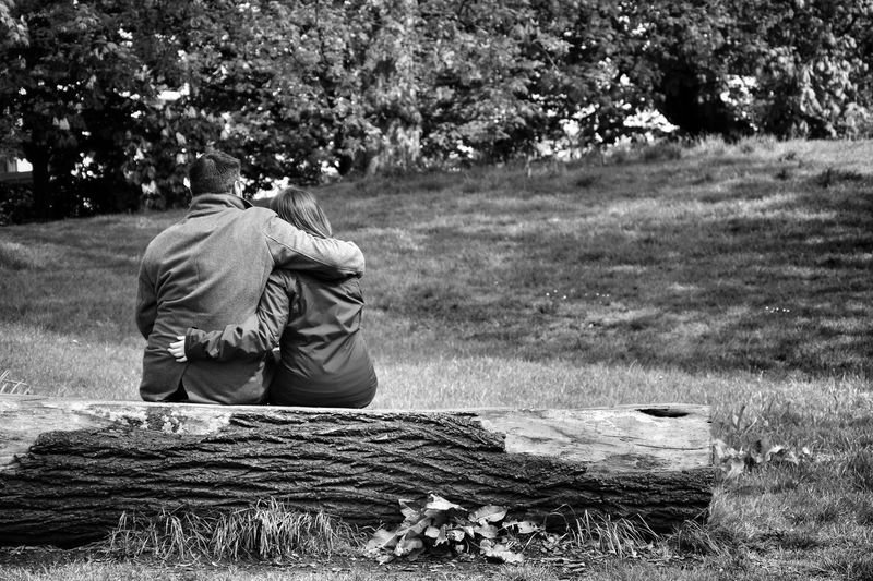Rear view of couple sitting on wooden log at field