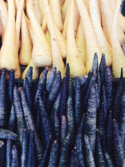 Full frame shot of radish for sale in market