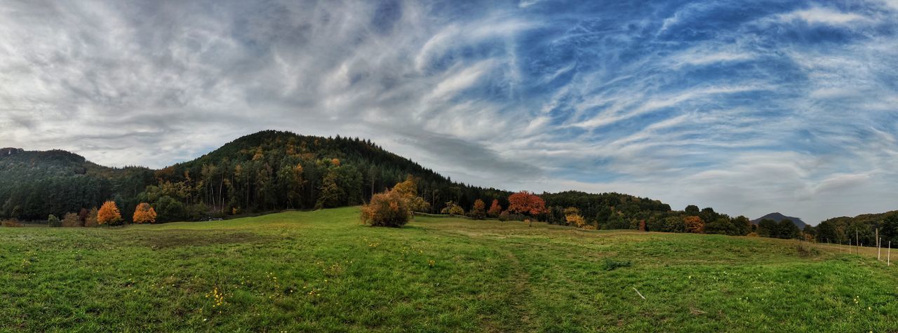 nature