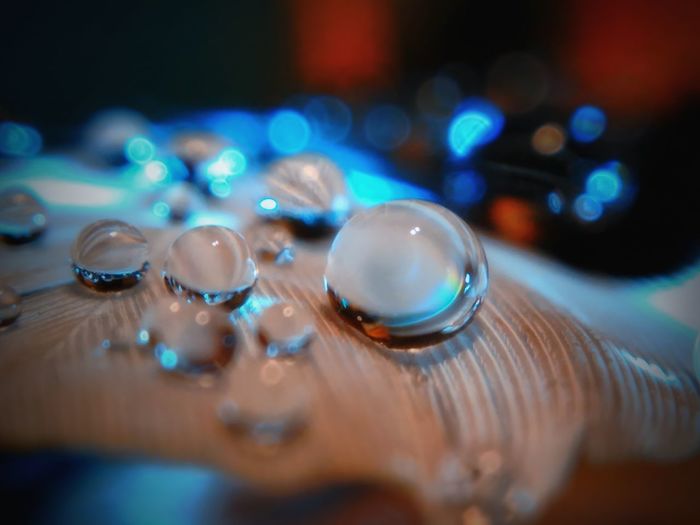 Close-up of drops of water on feather