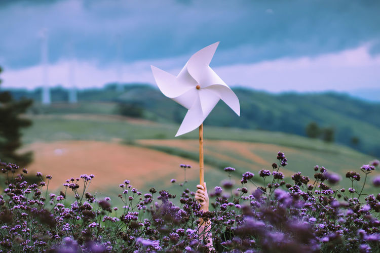 Cropped hand holding pinwheel by blooming flowers