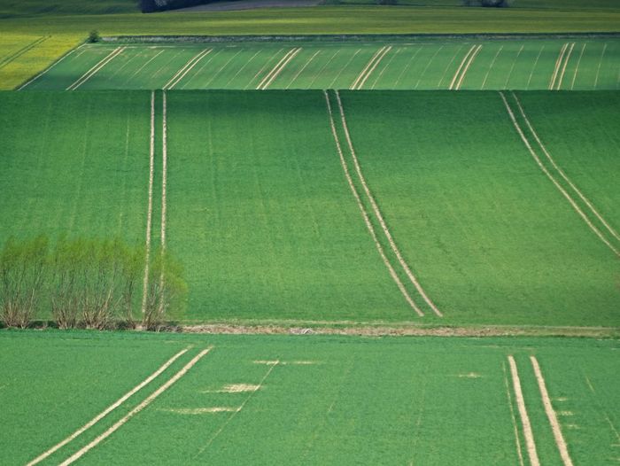 High angle view of green landscape with stripes 