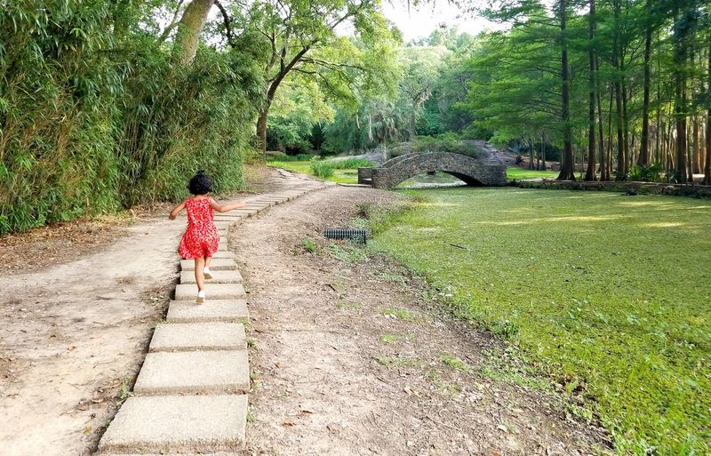 Rear view of boy on grass by trees against sky