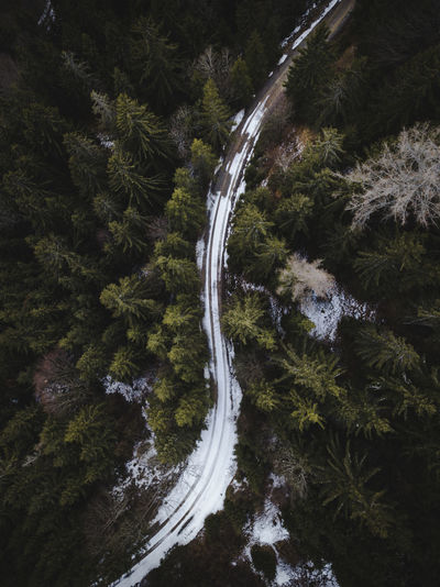 Aerial view of snow covered road amidst trees in forest