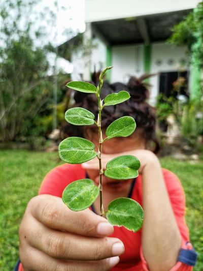 Midsection of person holding plant