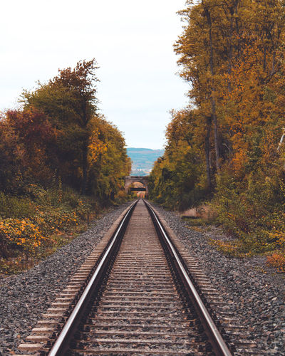 Railroad tracks in autumn