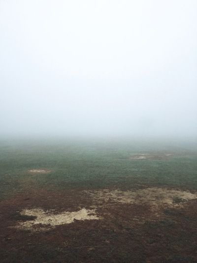 Scenic view of field in foggy weather against sky